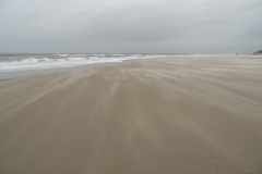 SAM_0532
