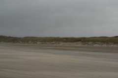SAM_0533