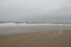 SAM_0534