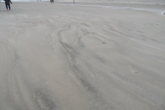 SAM_0544
