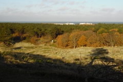 SAM_0572