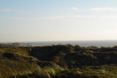 SAM_0573