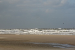 SAM_0610