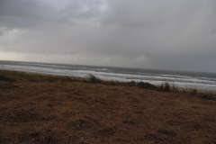 SAM_0627