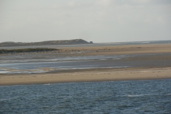 SAM_0712